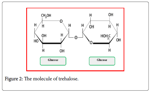 plant-biochemistry-physiology-trehalose
