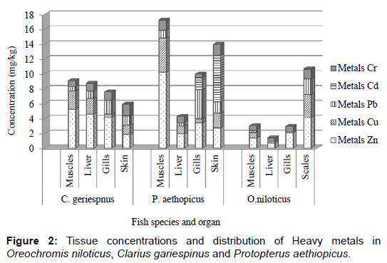 pollution-and-effects-Tissue-concentrations