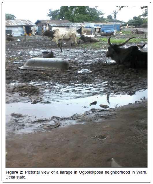 pollution-effects-liarage-Ogbolokposa