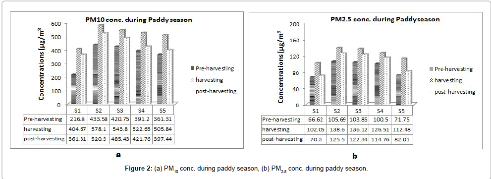 pollution-effects-paddy-season