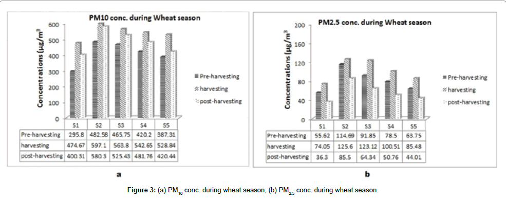 pollution-effects-wheat-season