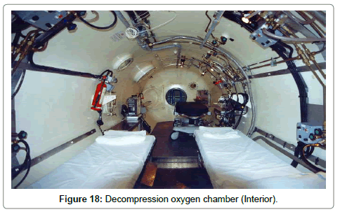 poultry-fisheries-wildlife-Decompression-oxygen-chamber-Interior