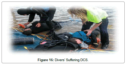 poultry-fisheries-wildlife-Divers-Suffering-DCS