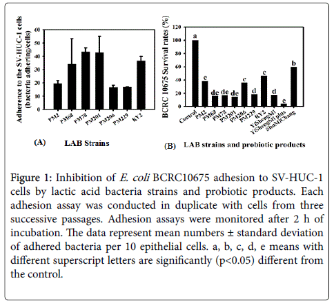 probiotics-health-lactic-acid