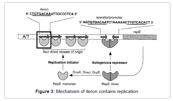 proteomics-bioinformatics-Mechanism-iteron