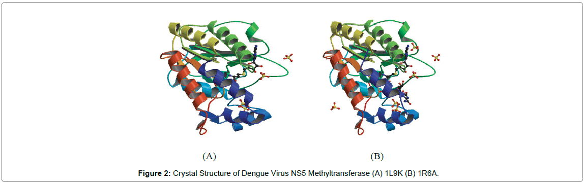 proteomics-bioinformatics-Structure-Dengue