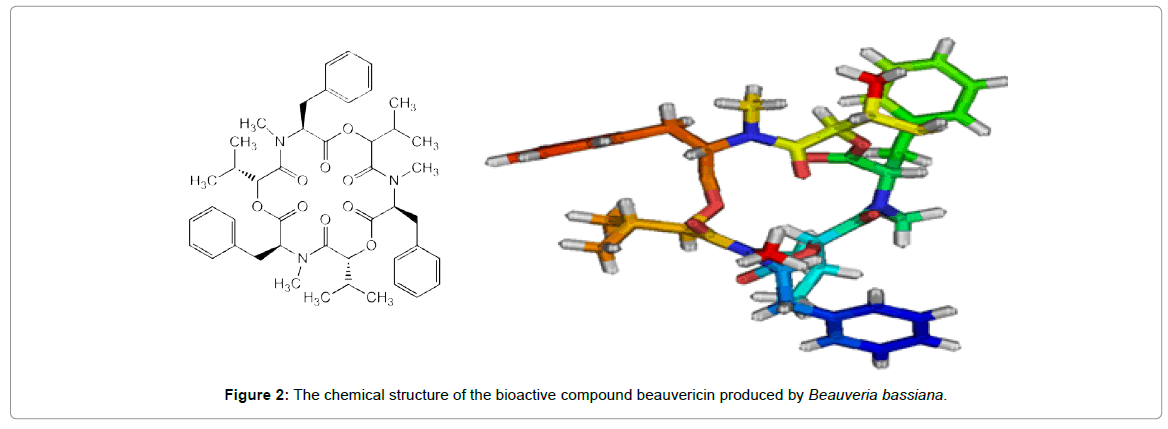 proteomics-bioinformatics-bioactive-compound