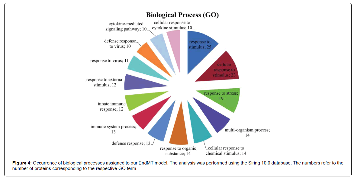 proteomics-bioinformatics-biological-processes