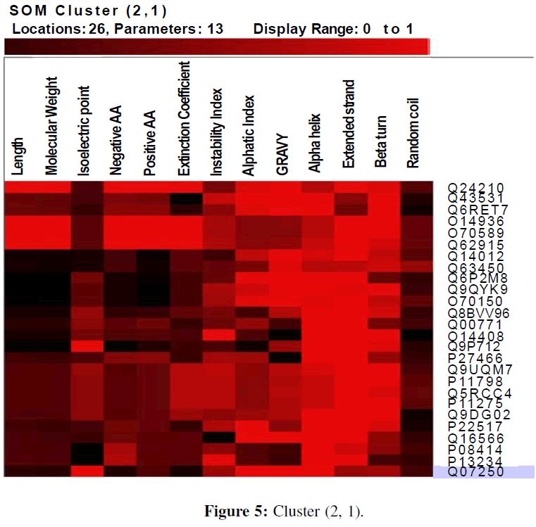 proteomics-bioinformatics-cluster-2-1