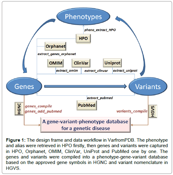 OMIM diseases as a function of associated HPO phenotypes. Data include