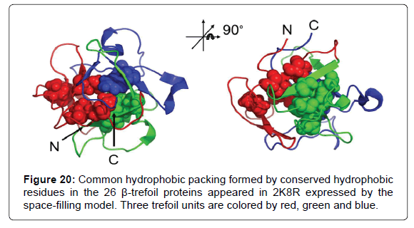 proteomics-bioinformatics-hydrophobic-packing