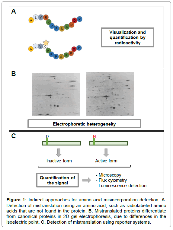 Proteomics Analysis for Amino Acid Misincorporation Detection: Mi