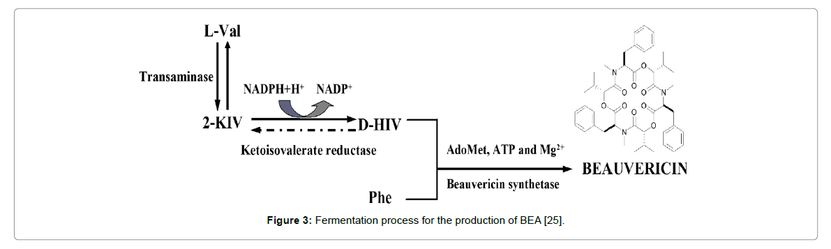 proteomics-bioinformatics-production-BEA