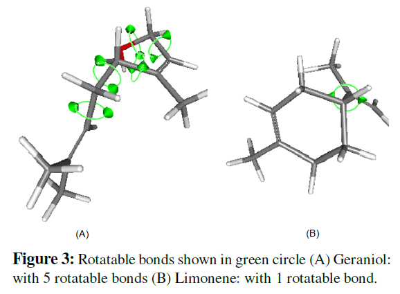 proteomics-bioinformatics-rotatable-bonds
