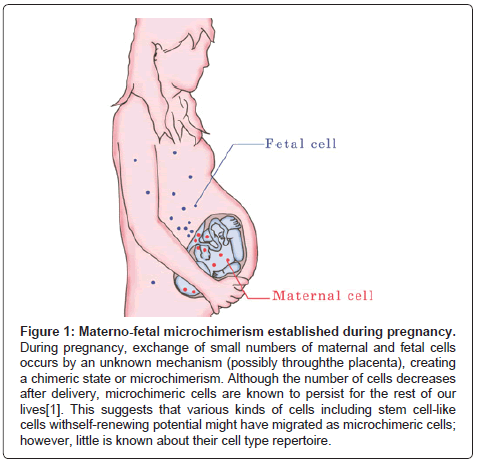 reproductive-system-sexual-disorders-Materno-fetal