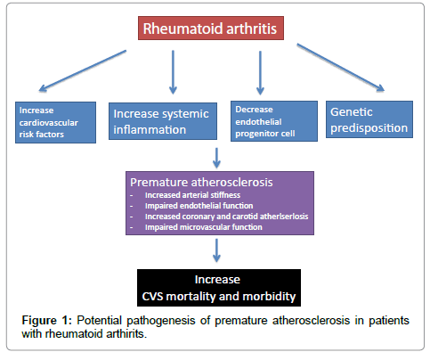 rheumatology-current-premature-pathogenesis-arthirits