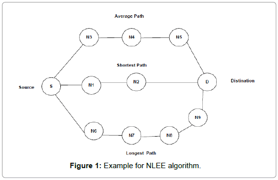 theoretical-computational-science-Example-NLEE-algorithm