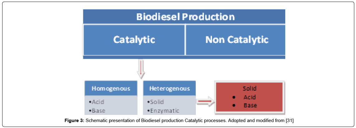thermodynamics-catalysis-Biodiesel-production
