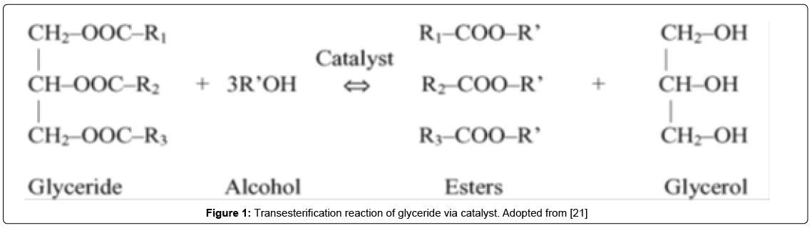 thermodynamics-catalysis-glyceride-catalyst