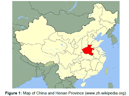 tourism-hospitality-china-henan-province