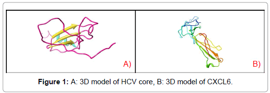 virology-mycology-HCV-core