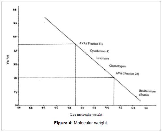 virology-mycology-Molecular-weight